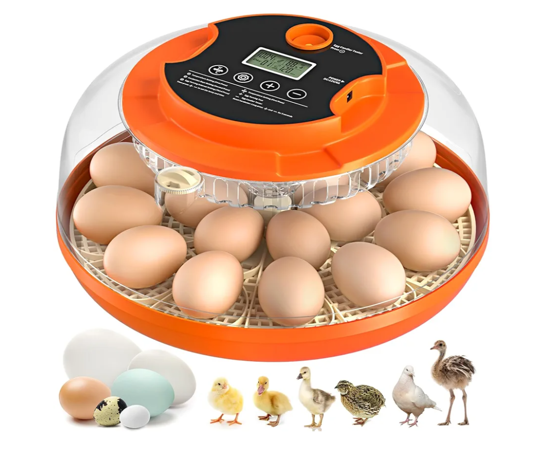 18 Egg Incubator with Automatic Egg Turning and Humidity Control, Incubators for Hatching Eggs, Chicken, Ducks, Goose, Pigeon, Quail, Parrot Incubator for Farm, Lab, Science Classroom, Home (Orange