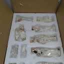 Zayton Nativity Set Christmas Indoor 11 Pcs 5 Inch Scene Statue Figurines Jesus Manger Crib Ornament Church Xmas Home Catholic Religious Decoration