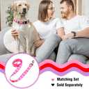 Native Pup Valentines Dog Collar- Valentines Day Pet Collars- Valentine Girly Hearts- Pink Red Heart- Cute Boy Girl Puppy Gift- Adjustable for Small, Medium, Large Breeds (Candy Hearts, Large)