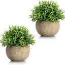 Velener 2Pcs Mini Artificial Boxwood Topiary Faux Plants Indoor- Small Fake Plants Decor Magnolia Home Office Desk Cubicle Farmhouse Kitchen Bookshelf Bedroom Bathroom Decor, Aloe Vera Zen Garden