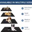Smiry Dog Door Mat for Muddy Paws 30x20, Extra Soft Absorbent Chenille Doormat, Trap Moisture and Dirt, Non-Slip Machine Washable Front Door Mat for Indoor Entrance Inside Floor, Black