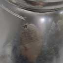 8 Inch to 4 Inch Duct Reducer Increaser Galvanized Steel Air Duct Adapter Round Crimped Pipe Connector Fitting Coupling for HVAC Ventilation Systems