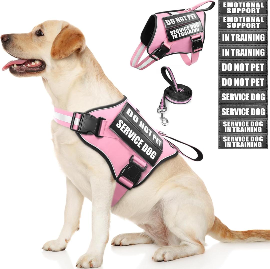 Service Dog Vest Harness and Leash Set+10 Patches,No Pull&Easy Walk Reflective Dog Harness with Soft Padded Handle for Training/Everyday,Fit Small/Medium/Large/Extra-Large Dogs (Pink L)