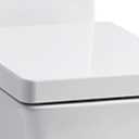 Reve Elongated Toilet Seat with Quiet-Close Technology