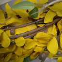 Artificial Forsythia Branches, 6 Pcs 39.4 Inch Cherry Blossom, Spring Flowers Artificial for Decoration, Silk Forsythia Flowers Artificial Orchids Wedding Office Home Party Dining Table Decor