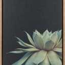 Kate and Laurel Sylvie Succulent Plant Framed Canvas Wall Art, Botanical Green with Black Background, 18x24 Gold, 18" x 24" 1.6"