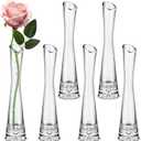 Lallisa 6 Pcs Glass Bud Vases for Centerpieces Maria Modern Clear Small Skinny Decorative Single Flower Bud Vase for Wedding Party Event Home Office Decoration(9.84 Inch,Transparent Color)
