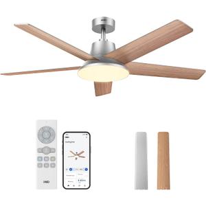 DREO Smart Ceiling Fan with Lights, 52 Inch, 12 Speeds & 3 Fan Modes, Stepless Color Tones, Dimmable LED Light, 12H Timer, Quiet DC Motor, Remote/APP/Alexa Control, Silver Ceiling Fans Indoor