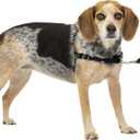 PetSafe Easy Walk No-Pull Dog Harness - The Ultimate Harness to Help Stop Pulling - Take Control & Teach Better Leash Manners - Helps Prevent Pets Pulling on Walks, Small/Medium, Charcoal/Black