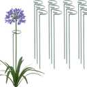 Thealyn 12 Pack 16 Inch Plant Support Stakes, Metal Single stemmed Flower Support HoopsGarden Plant Stakes Plant Prop for Amaryllis Orchid Lily Rose Peony Tomatoes Gladiolus
