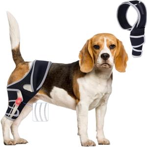 Knee Brace for Dogs with Torn ACL, Adjustable Dog Leg Braces Rear Leg or Front Legs with Cruciate Ligament Injuries, Warm Joint Pain Relief CCL Brace for Pets Knee Support Universal Four Legs, M (Navy black)