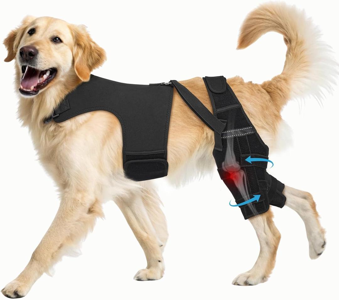 Dog Knee Brace for Torn ACL Hind Leg, Adjustable Dog Leg Braces for Back Leg with 4 Metal Stabilizers Helps with Torn CCL, Luxating Patella, Ligament Injuries, Hip Dysplasia, L