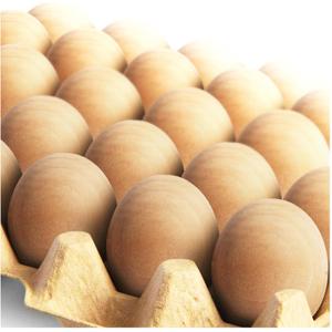 CALPALMY 24 Pieces Wooden Eggs - Life-Size, Reusable Fake Easter Eggs for Painting, Decorating, Crafting, Pretend Play, Faux Food Display, Nest Box Training