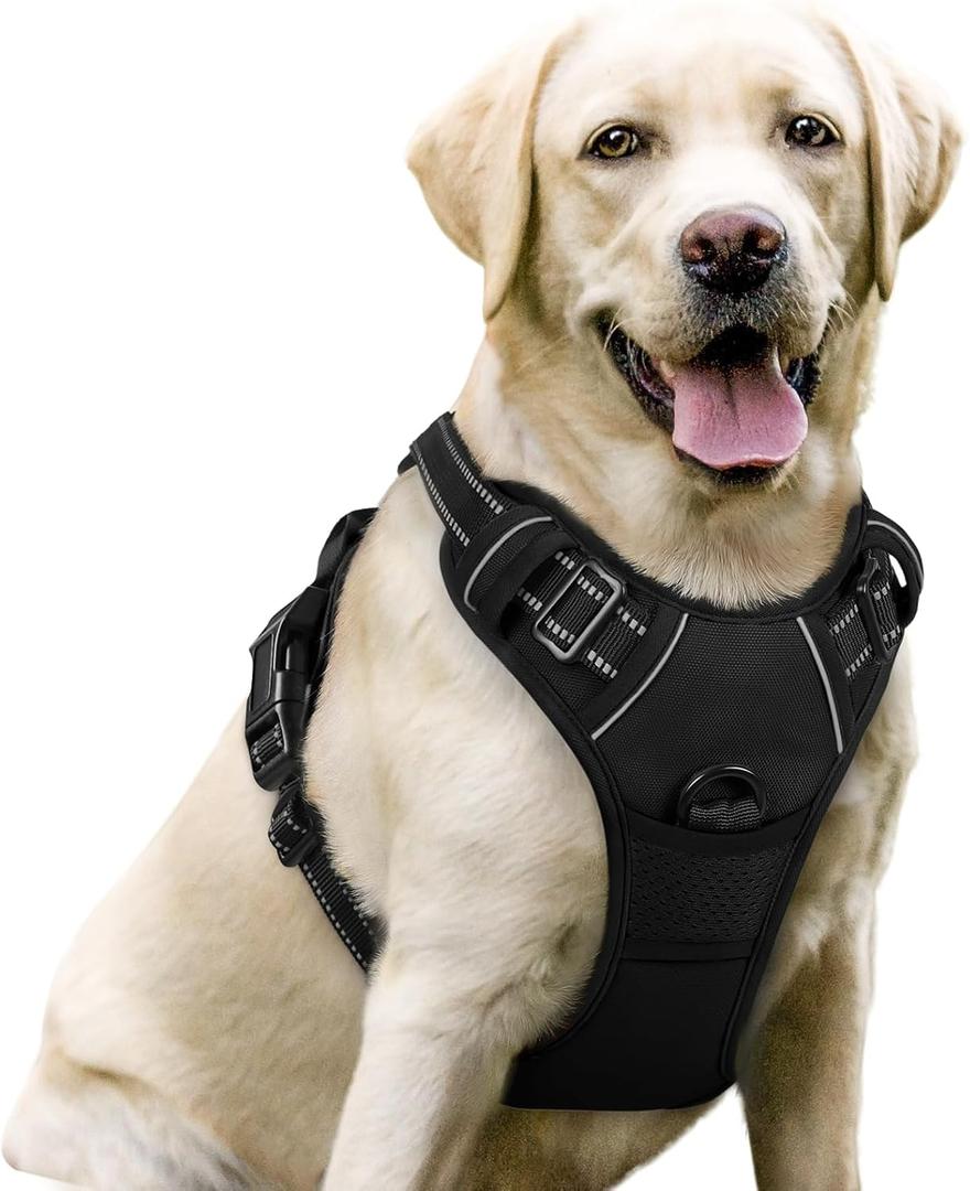 Rabbitgoo Dog Harness No Pull with 2 Leash Clips, Adjustable Soft Padded, Reflective Oxford No Choke Pet Vest with Easy Control Handle for Large Dogs, Black, Large