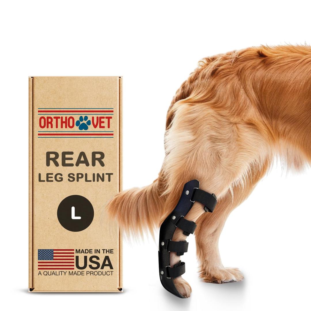 Standard Rear Splint for Dogs with Injuries, Arthritis, Fractures or Sprains, Durable & Lightweight Rear Splints for Rehability Treatment & Post-Surgery Protection for Pets - L