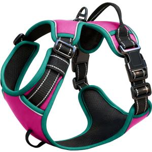 No Pull Dog Harness, No Chock Reflective Adjustable Soft Padded Pet Vest with Easy Control Handle, Easy Wearing with Stylish, Reinforced Knot, 2 Buckles (Small, Pink/Turquoise)