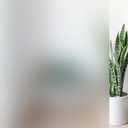 KESPEN Window Privacy Film Frosted Glass Heat Control UV Blocking Privacy Window Film for Glass Windows Static Cling Non-Adhesive Door Coverings Decals for Bathroom Home Office,17.5 Inch X 6.5 Feet