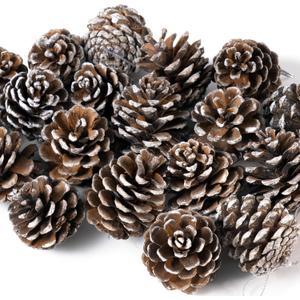 Snow-Dusted Pine Cone Decorations with Ribbon - 27 Pack Hand-Dipped White-Tipped Natural Pine Cones for Christmas Tree Ornaments, Crafting, and Holiday Centerpieces