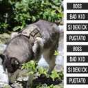 2 x AUROTH Dog Patches 8 Pieces, Dog Vest Patches with Hook Backing for pet Vest Harnesses, Pet Carrier, Personalized Patches Glows in The Dark Size M (M-4.5X1.5, Series 2)