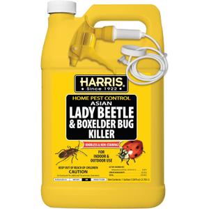 Harris Asian Lady Beetle, Japanese Beetle, and Box Elder Killer, Liquid Spray with Odorless and Non-Staining Extended Residual Kill Formula (Gallon)