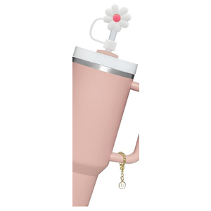 Stanley Cup Accessories