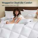 Pacific Coast Premium Goose Down Fiber Comforter Queen Size, 420TC 100% Australian Cotton Shell, All-Season Comforter with Hidden Baffle Box & Double-Stitched Piping (90"x90")