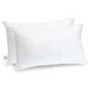 Trendy Home 12x20 Throw Pillow Insert (Pack of 2, White), Bed and Couch Pillows Stuffer Hypoallergenic, Lumbar Support Decorative Home Outdoor Pillow Filler (Non Woven, 2 Pack)