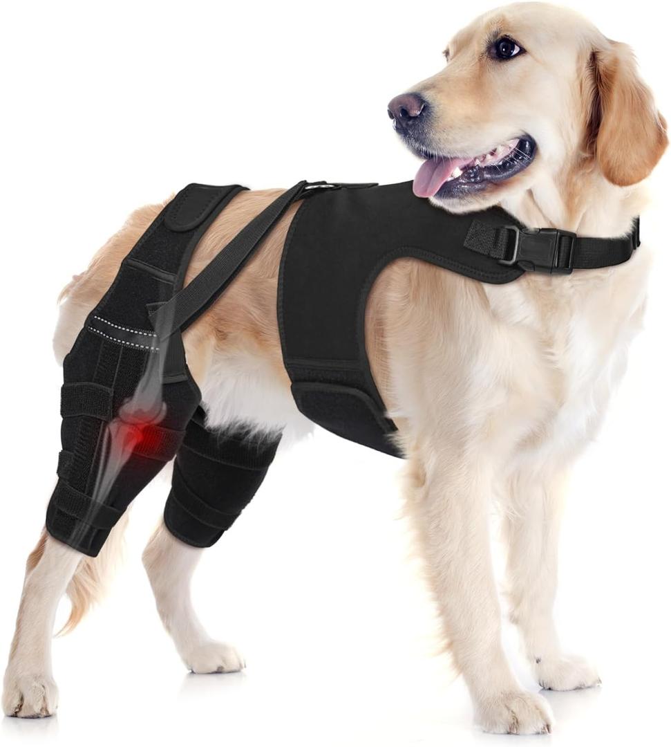 Dog Knee Brace Double Leg Support with Vest - Orthopedic Joint Stabilizer for ACL Tear, Arthritis, Patella Recovery - Adjustable Non-Slip Recovery Brace for Small Middle Large Dogs (XXL)