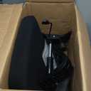 Marsail Ergonomic Office Chair: Office Desk Chair with High Back Mesh and Adjustable Lumbar Support Rolling Work Swivel Task Chairs with Wheel 3D Armrests and Headrest (Black)