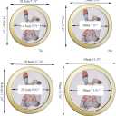 Levoberg Round Photo Frame Wooden Wall Mounted Stylish Picture Frame Home Decor (10inch, Gold)