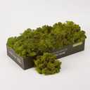 prefleur Preserved Reindeer Moss Natural Green DIY Kit Terrariums Gardenning Art Wall Decor Florist Decor Easter Table Decor Wedding Decor (0.85lb) (Green-08, Pack of 3)