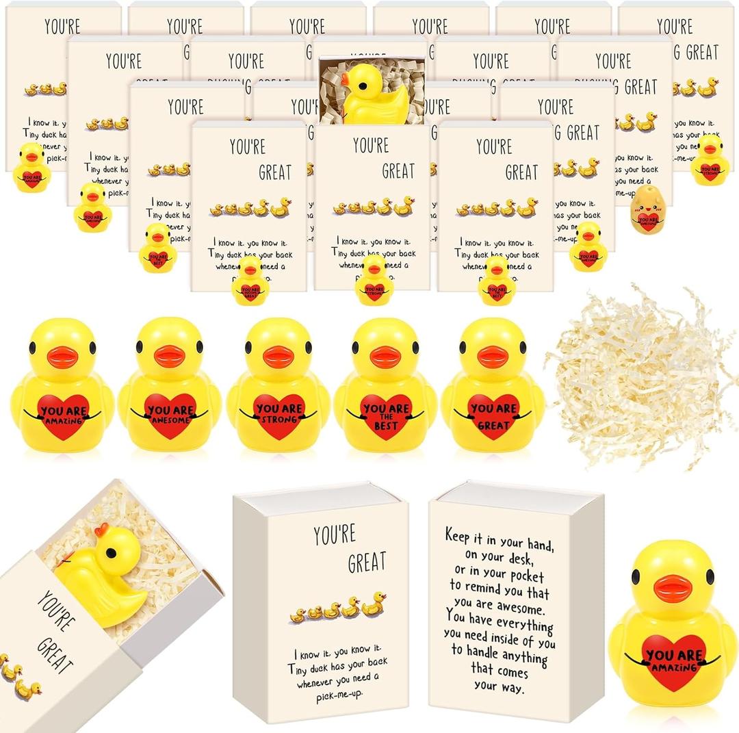 50 Set Bulk Employee Appreciation Gift for Social Worker Coworker Office Thank You Small Funny Desk Pets Cute Resin Ornament Party Favor Positive Volunteer Emotional Card Box (Heart Duck)