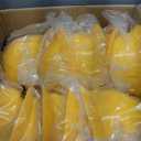 10 Pack Full Brim Hard Hat, White Construction Hard Hat, HDPE Safety Helmet with 6-Point Adjustable Ratchet Suspension for Men and Women