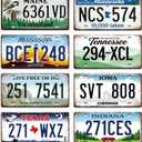 GLOBLELAND 8 Pcs Retro Americana Vintage License Plate Sign Sets, 11.8×5.9 inch/30x15 cm