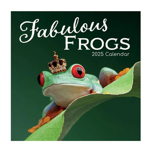 Gifted Stationery Co, Fabulous Frogs 2025 Wall Calendar