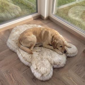 IHAPPYDOG Luxury Faux Fur Orthopedic Dog Bed, Memory Foam Dog Bed for Small, Medium, Large and XL Pets, Fluffy Pet Bed with Waterproof and Washable Cover (White w/Brown Tips, 50"x30")