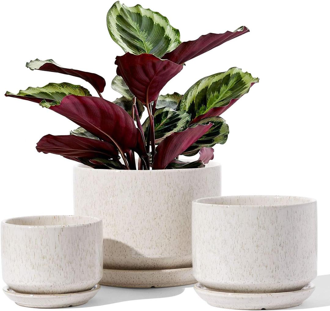 LE TAUCI Ceramic Plant Pots, 4.3+5.3+6.8 inch, Set of 3, Planters with Drainage Hole and Saucer, Indoor Flower Pot with Hole Mesh Pad, Gifts for Mom, Reactive Glaze Beige, Medium