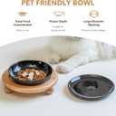 Havniva Elevated Cat Bowls, Ceramic Cat Food Bowl Whisker Friendly Cat Dishes, Kitten Food & Water Bowl with Two Heights Stand, Anti-Slip Raised Cat Food Plates