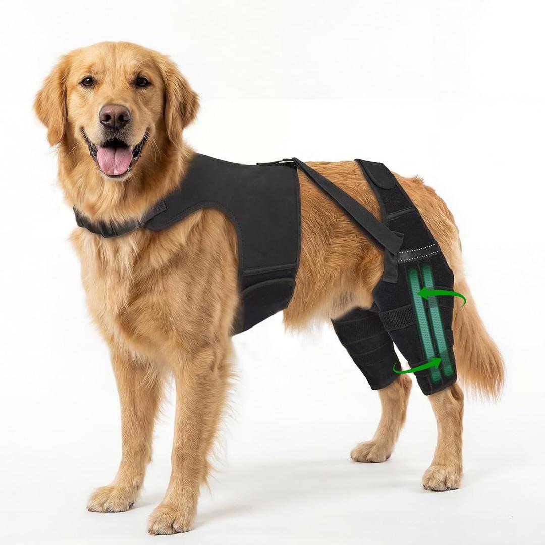 Dog Knee Brace for Back Leg, Adjustable Dog Leg Brace with 4 Stabilizers, Hip Support to Reduces Pain, Ligament Injuries & Luxating Patella & ACL CCL for Dogs, 2XL