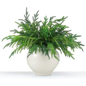 Jutom 6 Pcs 18 Inch Christmas Norfolk Pine Branches, Lifelike Bendable Non-Shedding Greenery Stems Faux Pine Picks for Christmas Mantel Centerpiece Garland Wreath and Holiday Decor