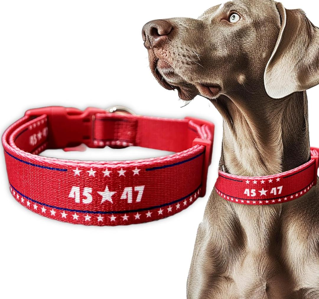 2024 American Blue Red Dog Collar, Embroidered Dog Collar, Adjustable for Small Medium Large Dogs, Congratulations.