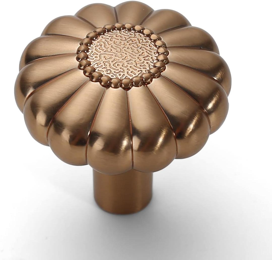 Asidrama 10 Pack Champagne Bronze Kitchen Cabinet Knobs - Dresser & Drawer Knobs - Zinc Finish