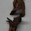 Driftwood for Aquarium Natural Aquarium Wood for Aquascaping Fish Tank Decorations Reptile Tank Decor (Natural Driftwood 9-14" (Pack of 2))