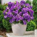 Artificial Geranium Fake Flowers for Outdoors Decoration, 6 Bundles Silk Geraniums Flower UV Resistant Look Real Faux Plants for Outside Planter Front Door Garden Patio Balcony Yard Home, Purple