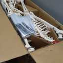 breesky Human Skeleton Model for Anatomy- Life Size Medical Human Skeleton Model with Nervous System 70.8 in with Rolling Stand for Medical Study and Display 3 Posters