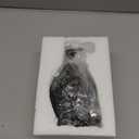 Skull Soap Dispenser with Rust Proof Pump, Refillable Liquid Hand Lotion Bottle for Bathroom, Bedroom and KitchenNew Upgrade . (Skull Pattern-2)