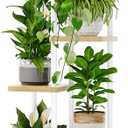 Bamworld Tall Plant Stand Indoor 6 Tier Plant Shelf for Multiple Plants, Tiered Flower Pot Stands for Patio Garden Balcony Living Room Bedroom