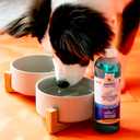 Nylabone Advanced Oral Care Pet Dental Water Additive, Liquid Tartar Remover & Breath Freshener for Dogs, Dog Teeth-Cleaning, Peppermint Flavor, 16 oz.