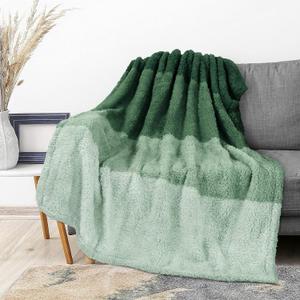 PAVILIA Fluffy Sherpa Throw Blanket Ombre | Gradient Plush, Soft, Fuzzy, Decorative Accent Throw Blanket for Couch Sofa Bed | Cozy Warm Decorative Furry Faux Fur Blanket, 50x60 Inches Green