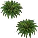 38" Artificial Boston Ferns Bush Plants, Set of 2, Large Faux Ferns Hanging Decor with 47 Fronds, Fake Vines Indoor Or Outdoors Planter for Home and Office Decor